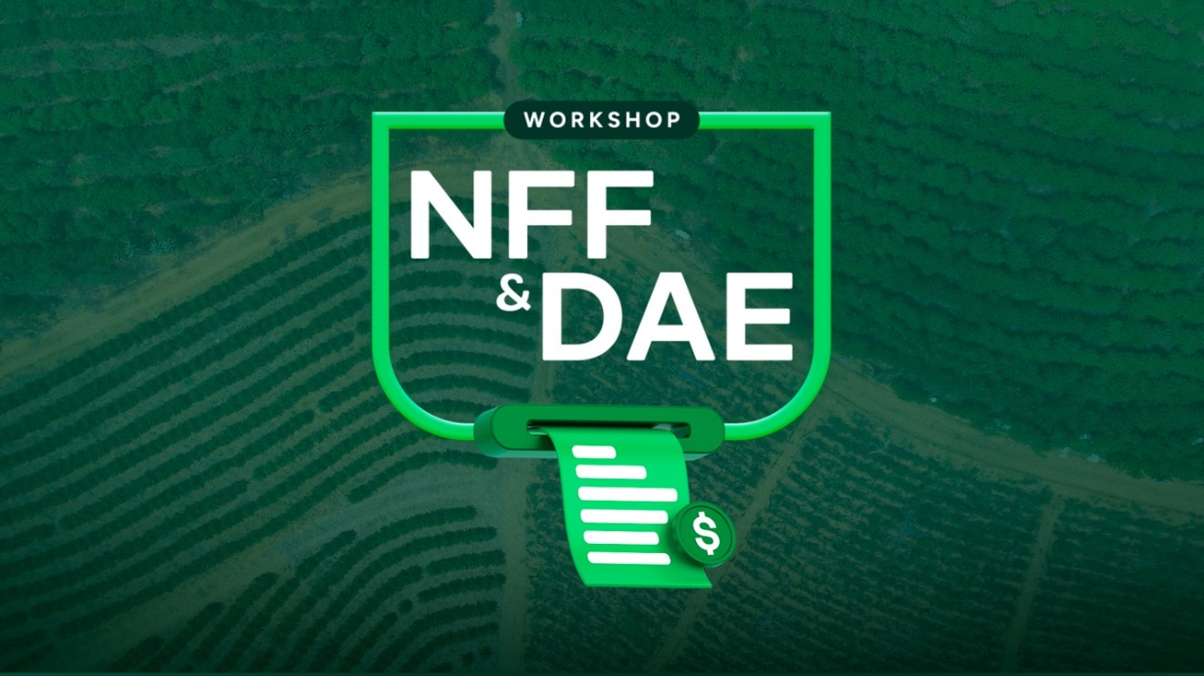 Capa da notícia Workshop NFF e DAE em Santa Maria de Jetibá no dia 13 de agosto